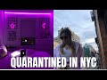 NYC QUARANTINE DAY 28 | WE BATHED OUR CAT...AND ATE PANCAKES
