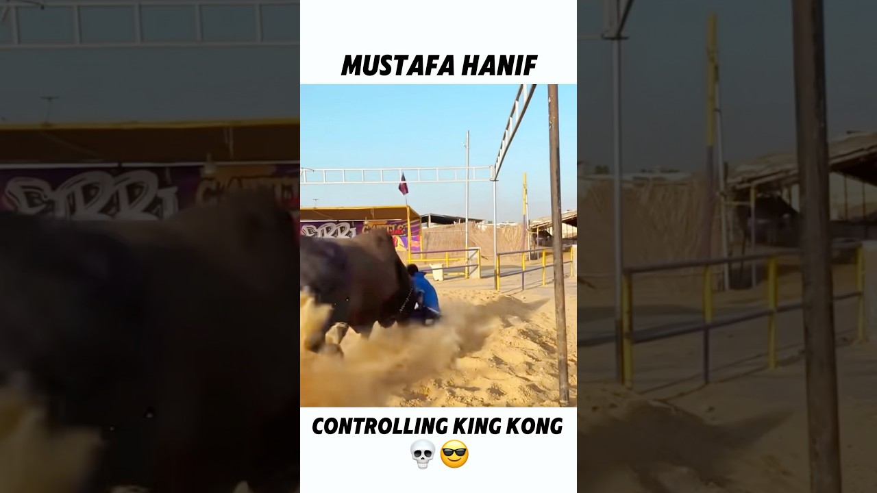 CONTROLLING KING KONG😱 