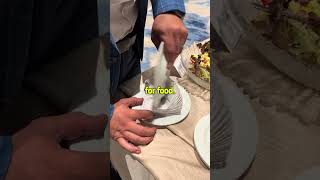 Napkin trick (YT/@elchefrecomienda )