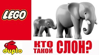 Смотреть мультик лего про животных / Развивающие мультфильмы для детей от 3 лет Смотреть мультик лего про животных / Развивающие мультфильмы для детей от 3 лет
