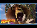 DreamWorks Madagascar | This Is Better Than Steak |  Madagascar Movie Clip