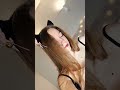 Beautiful Sound Time