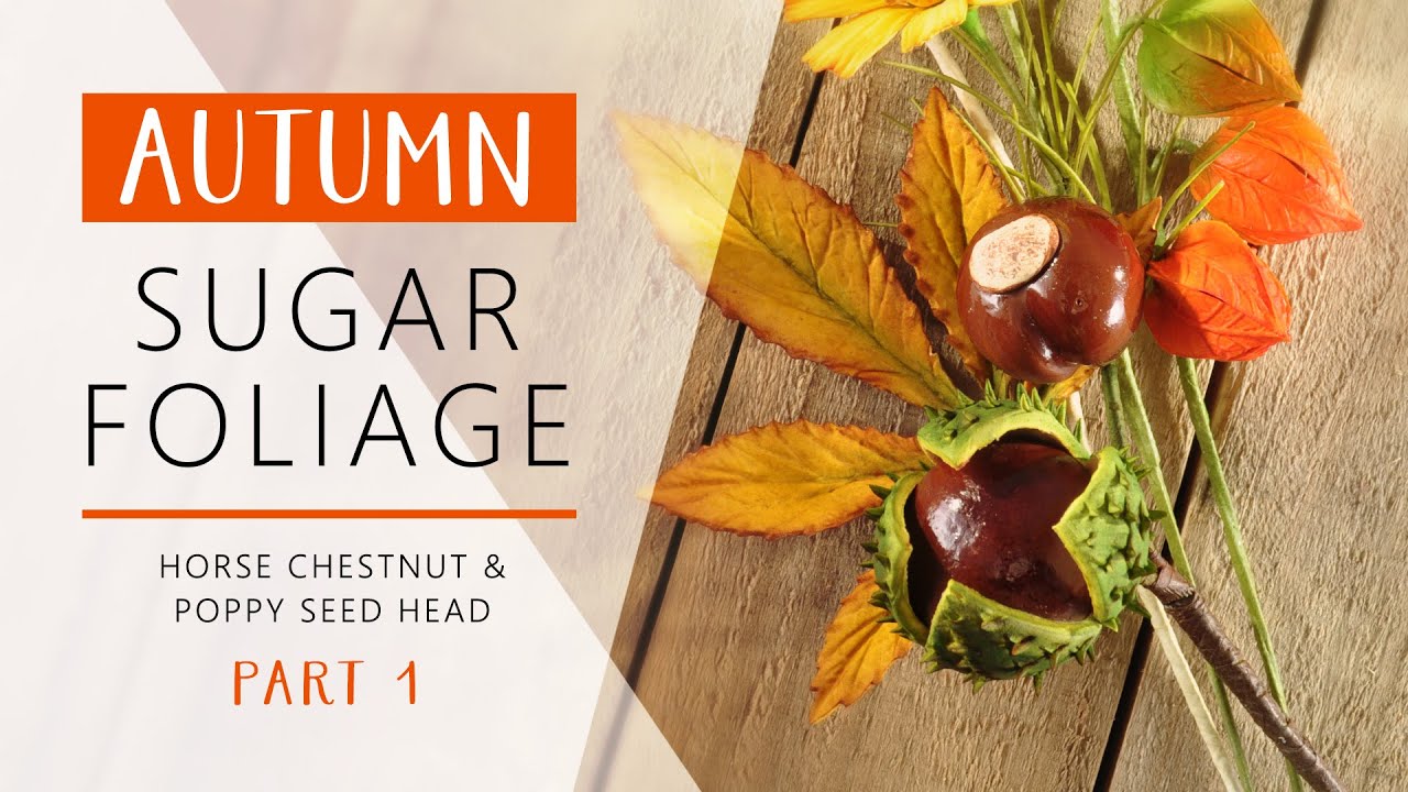 Autumn Sugar Foliage | Horse Chestnut & Poppy Seed Head - Part 1