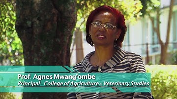 University of Nairobi Corporate video