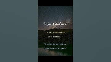ايات مبشرات بصوت القارىء ماهر عرار حالات واتس اب دينية قصيرة قران كريم تلاوة خاشعة ومؤثرة جدا