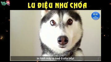 Thánh Lồng Tiếng | Lu Điệu Như Chóa