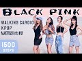 BLACKPINK 女团燃脂走不操 做自己的c位 无跑跳 懒宝随便美 BLACKPINK 女团燃脂走不操 做自己的c位 无跑跳 懒宝随便美