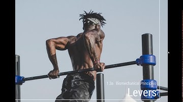 InterACTIVE Powerpoints for OCR A Level PE