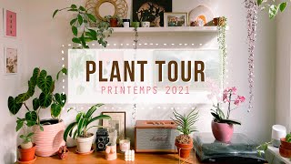 PLANT TOUR 2021 – Ma collection de 80 plantes d'intérieur 🌿