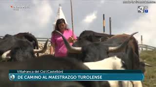 TRASHUMANCIA VACAS REPORTAJE