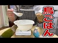 すべて見せます！鳥ごはん 【シード編】発情抑制・配合について