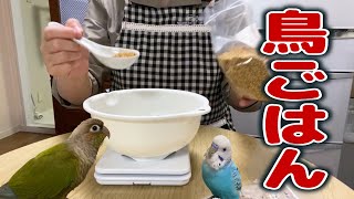 すべて見せます！鳥ごはん 【シード編】発情抑制・配合について