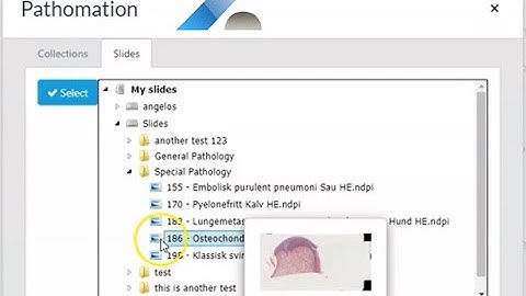 Embed virtual slides in your Canvas Learning Management System (LMS) with the Pathomation LTI plugin