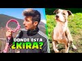 ¿ DONDE ESTA MI PERRA KIRA ? ME LA HAN ROBADO !! Makiman