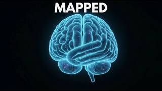 Inside DARPA’s Brain–Computer Interface Research