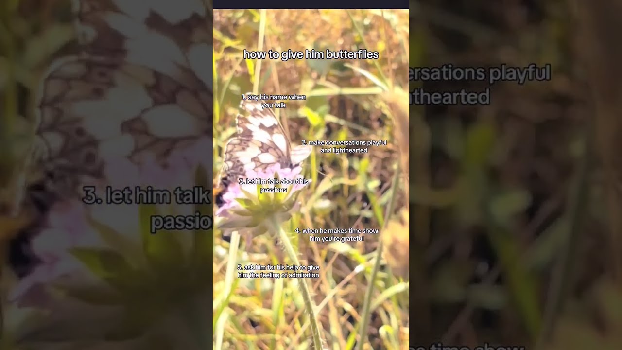 How To Give Him Butterflies