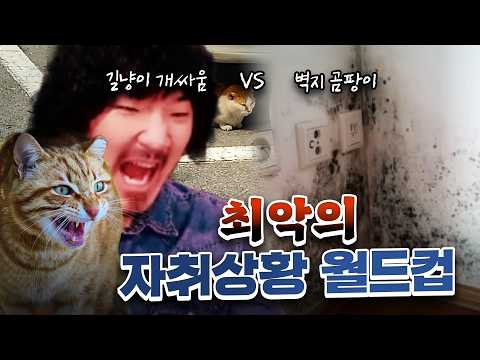 자취하다 제일 멘붕하는 상황 월드컵