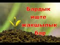 Баардык иште жакшылык бар - ибраттуу окуя