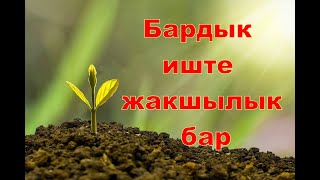 Баардык иште жакшылык бар - ибраттуу окуя