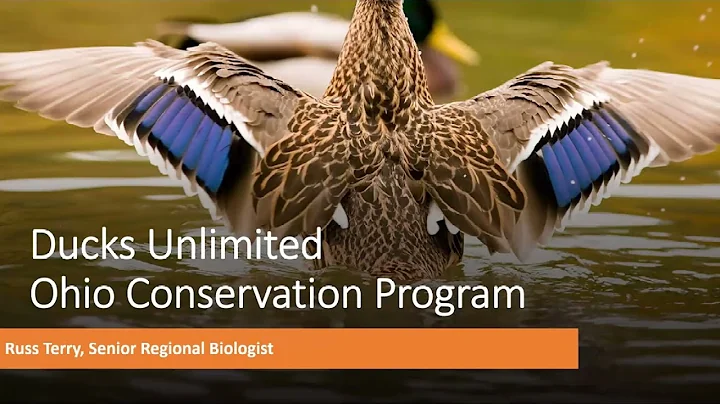 Building Wetlands for Habitat and Water Quality