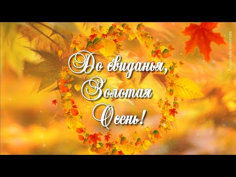 До свиданья золотая осень