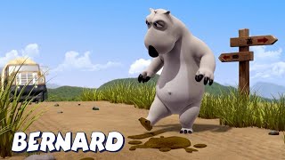 Bernard Bear | Stepped on POO!  AND MORE | Cartoons for Children