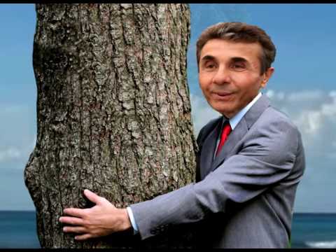 რას დაატარებს ეს კაცი ამ ხეს