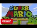 Super Mario Mash-Up Pack for Minecraft - Wii U Edition