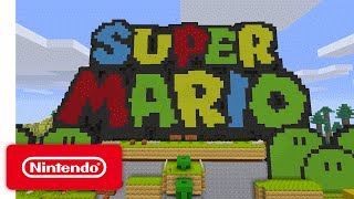 Super Mario Mash-Up Pack for Minecraft - Wii U Edition screenshot 4