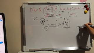 Understanding Epidemic SI (Susceptible-Infectious) Model from Scratch