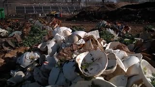 Earth Day: Program teaching how to compost cut from NYC budget