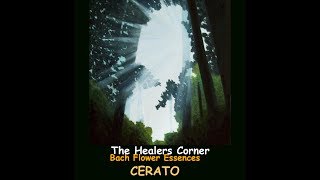 BACH FLOWER ESSENCES - Cerato