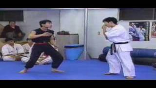 Kyokushin Karate vs Drunken Boxing and Kung Fu