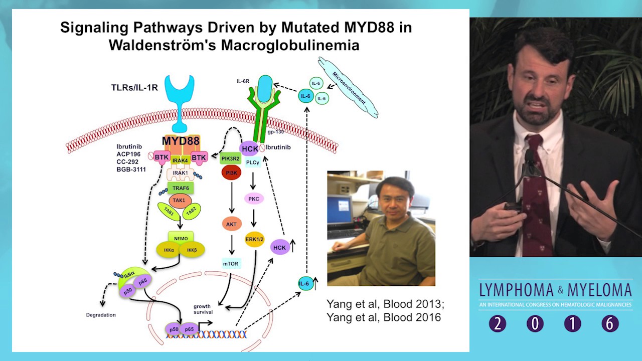 New insights into the biology and treatment of Waldenström