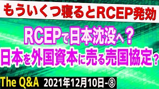 RCEPで日本は崩壊する？「日本を外国資本に売る売国協定説」を経済専門家が語る！　⑧【The Q&A】12/10