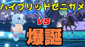 ゼニガメ Youtube ゼニガメ Youtube