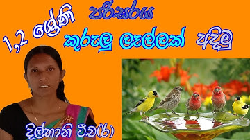 දිල්හානි ටීච(ර්), 1,2. ශ්‍රේණි ,පරිසරය, කුරුලු ලෑල්ලක් අදිමු.