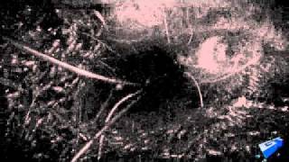 VGA 10 - Insane - Debut Trailer