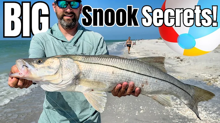 How to Catch BIG Snook from the Beach in Florida – A Step-by-Step Guide!