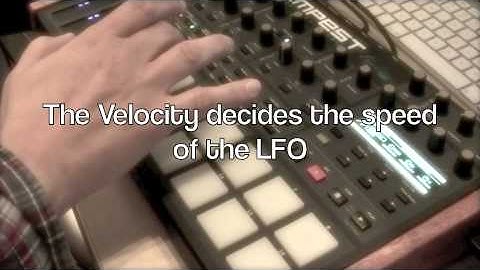 DSI Tempest DreamProbe Sounds: Basses