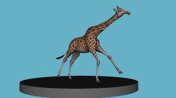 Giraffe Run Cycle