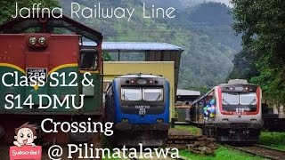 Sri Lanka Train Crossing | Colombo to Matale Train No 1019 and Badulla to Colombo Train No 1016