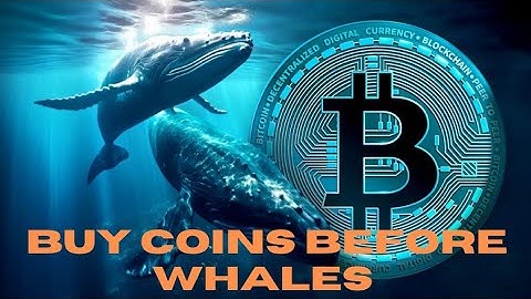 How Whales Buy Coins Before Listing | Secret Strategy + Coin & Website Reveal