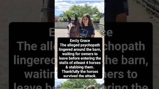 girl stabbed several horses at a Las Vegas barrel race #barrelracing #barrelhorse #horse  #abuse
