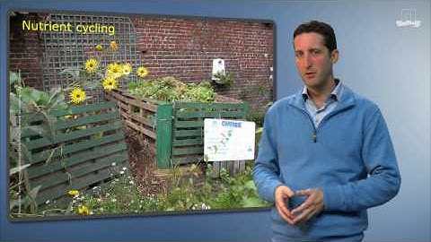 Soil functions explained