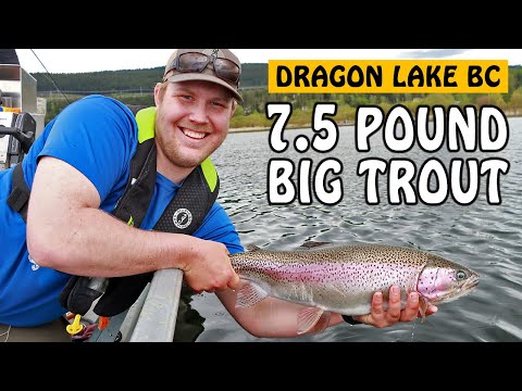 Video: What Fish Does Trout Belong To?