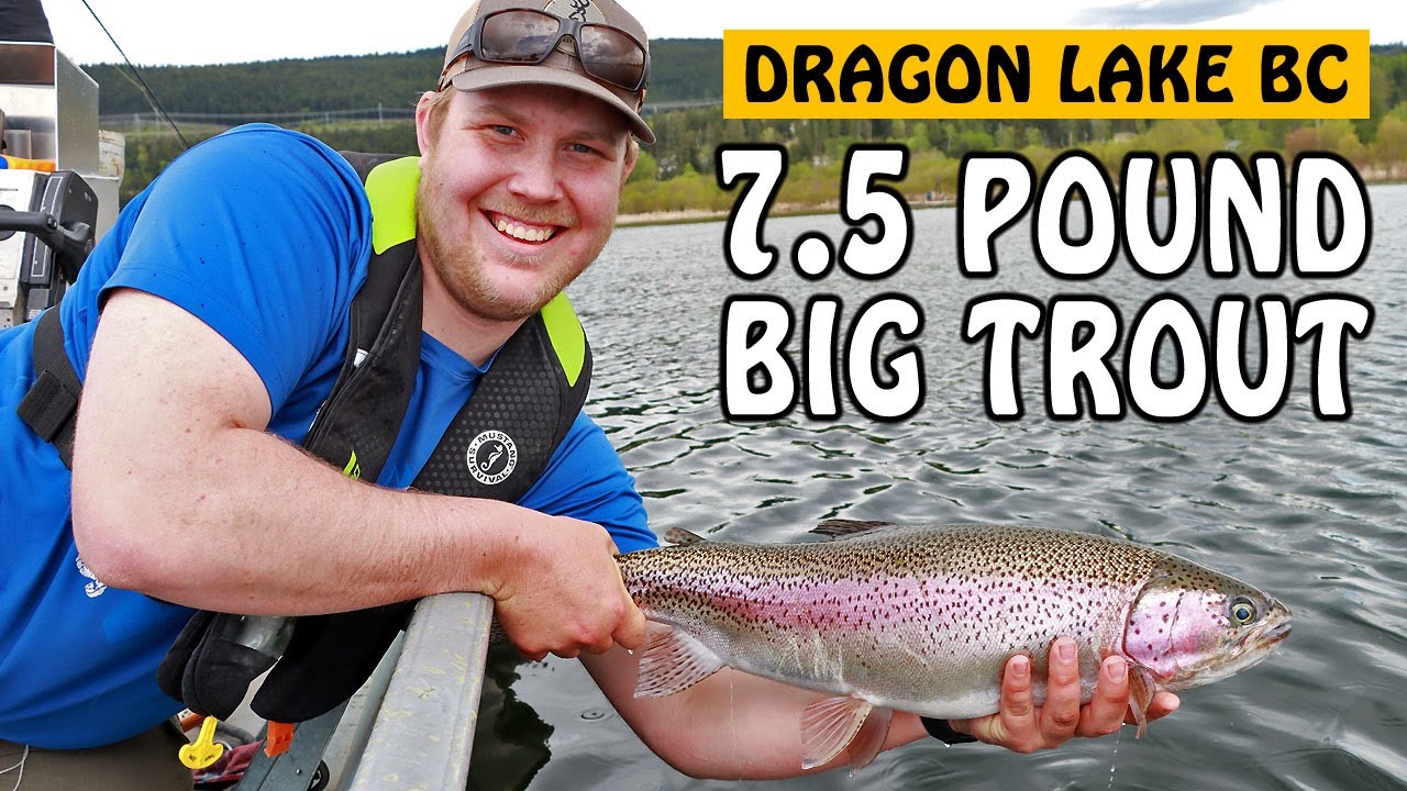 7.5 Pound Rainbow Trout from Dragon Lake! | Fishing with Rod - YouTube