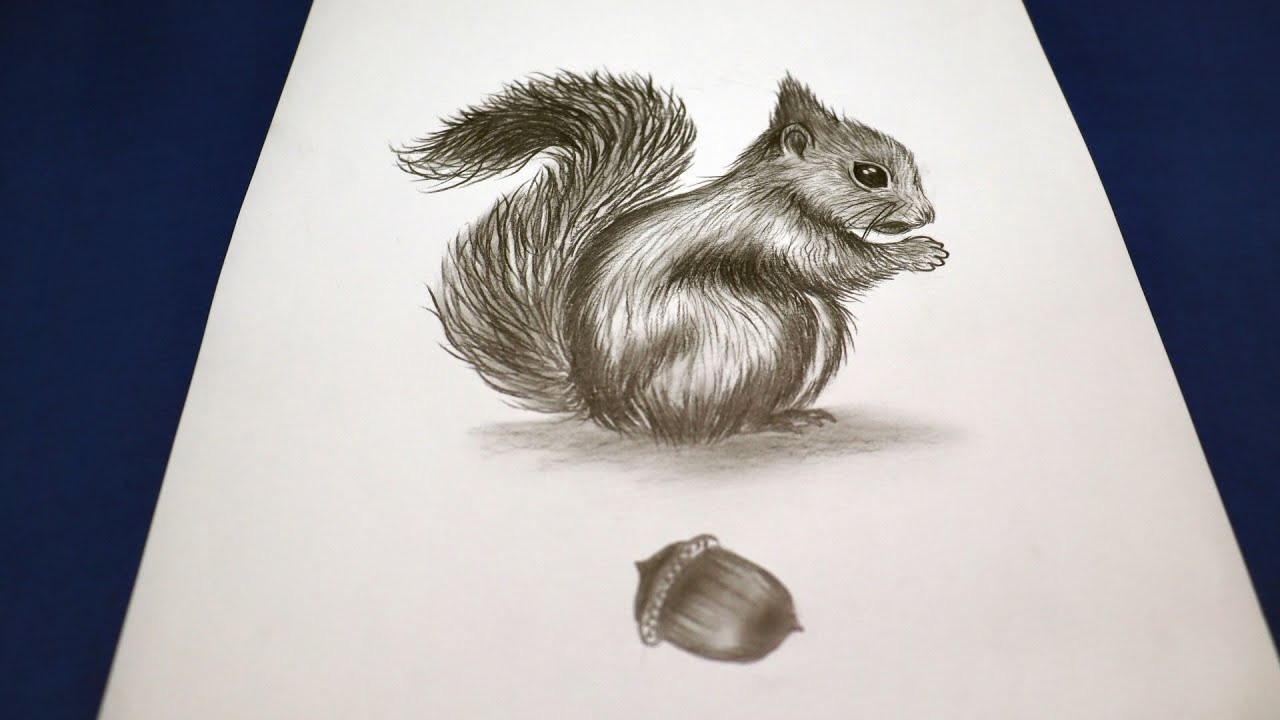 Squirrel sketch icon Royalty Free Vector Image