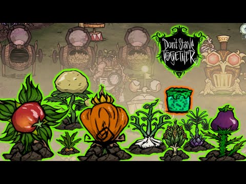 НОВЫЕ ОГОРОДЫ И РАСТЕНИЯ ВСЕ О НИХ - Don't Starve Together/DST/Reap what you Sow