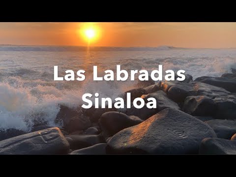 Las Labradas, Sinaloa, un santuario costero de grabados rupestres